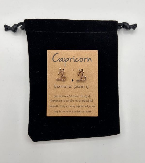 Capricorn Star Sign Earrings