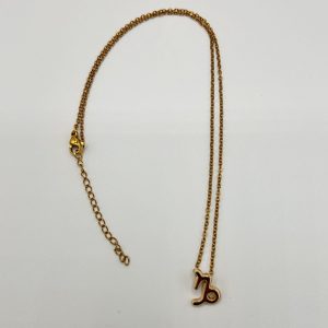 Capricorn Star Sign Necklace