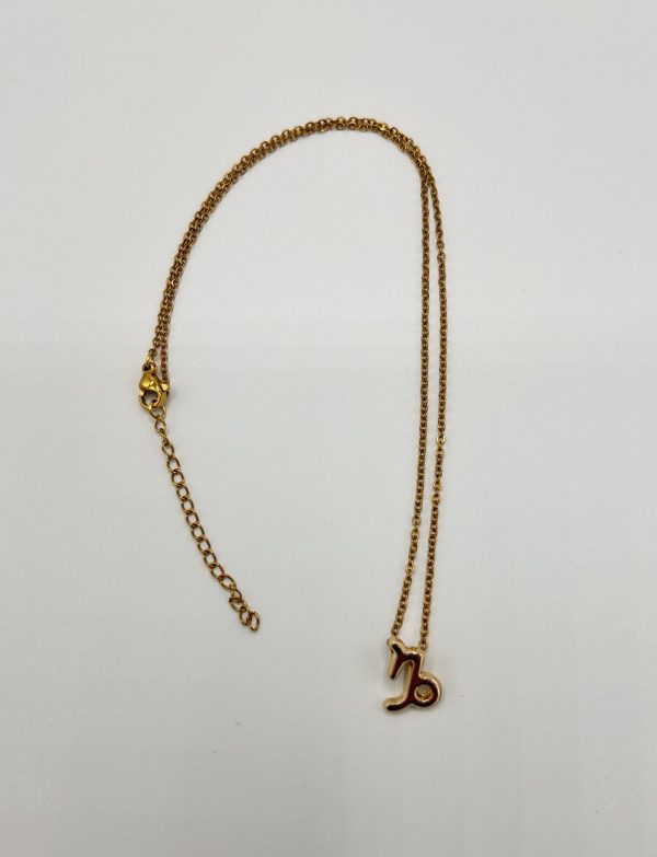 Capricorn Star Sign Necklace