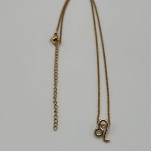 Leo Star Sign Necklace